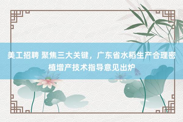 美工招聘 聚焦三大关键，广东省水稻生产合理密植增产技术指导意见出炉