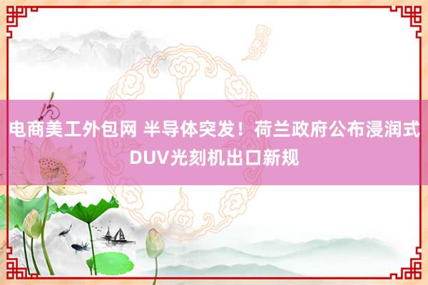 电商美工外包网 半导体突发！荷兰政府公布浸润式DUV光刻机出口新规